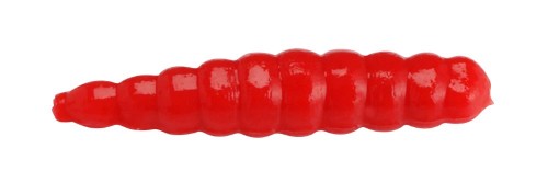 krokodyl1-569471