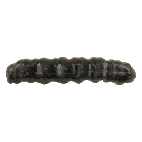 krokodyl1-569489