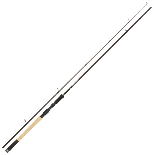 krokodyl1-571648