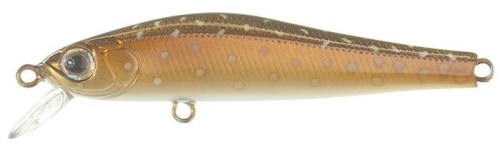 krokodyl1-571783