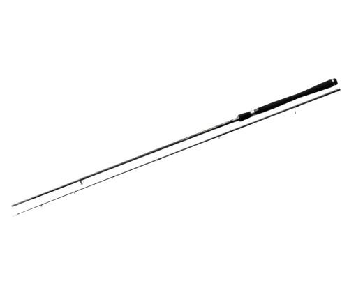 krokodyl1-572783