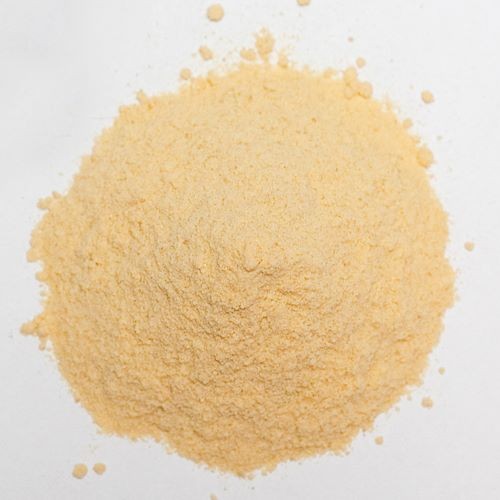 krokodyl1-578313