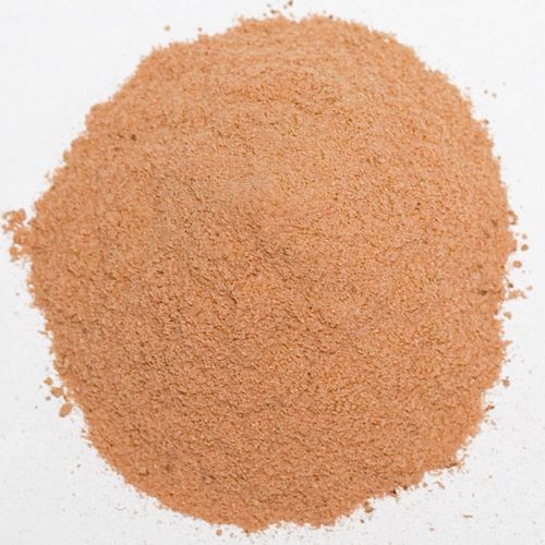 krokodyl1-578324