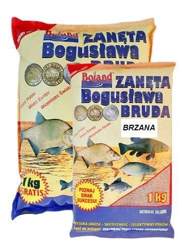 krokodyl1-578541