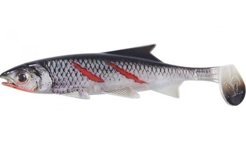 krokodyl1-588017