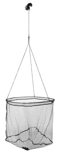 krokodyl1-588882