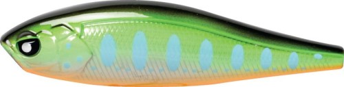 krokodyl1-593598