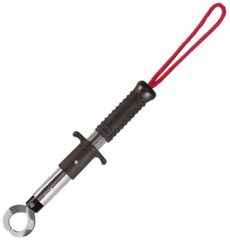 krokodyl1-610747