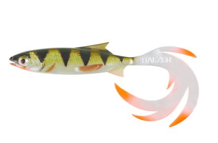 krokodyl1-612096
