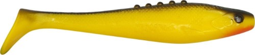 krokodyl1-616259