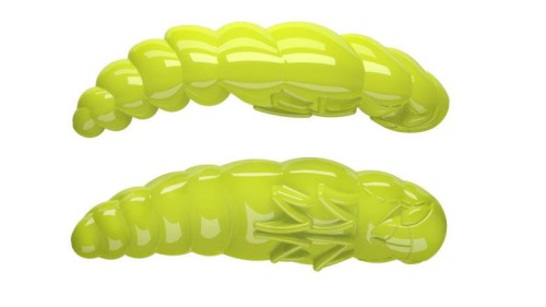krokodyl1-618669
