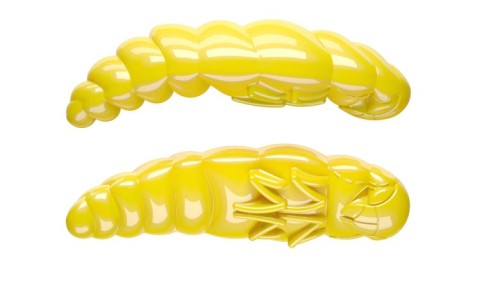 krokodyl1-618763