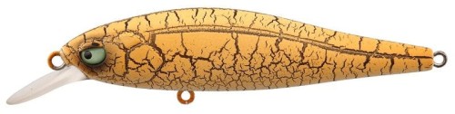 krokodyl1-618831