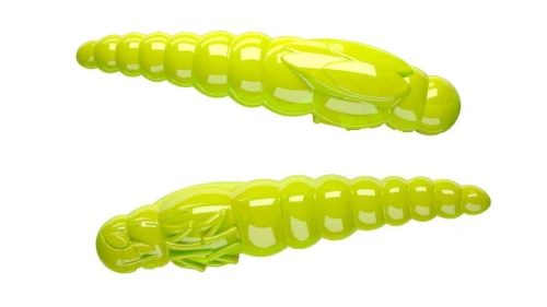 krokodyl1-619208