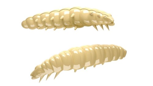 krokodyl1-619283