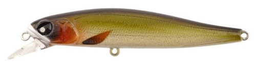 krokodyl1-619526