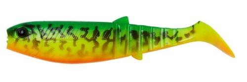 krokodyl1-620380