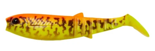krokodyl1-620392
