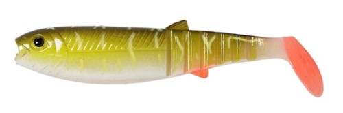 krokodyl1-620404