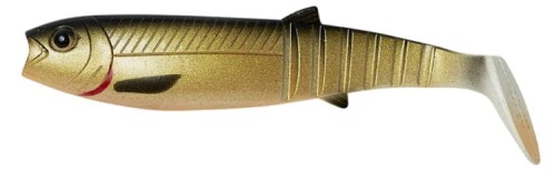 krokodyl1-620481