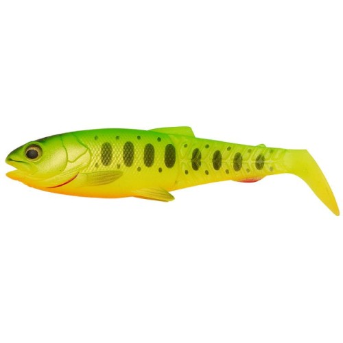 krokodyl1-620549