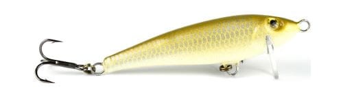 krokodyl1-620589