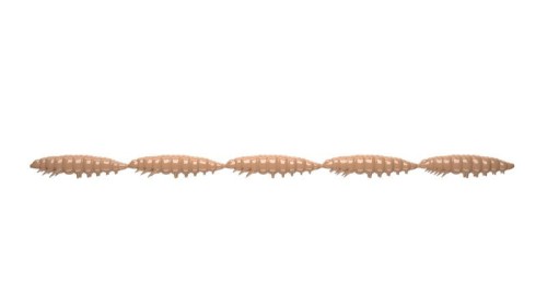 krokodyl2-582315