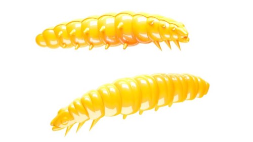 krokodyl2-582466