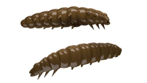 krokodyl2-582490