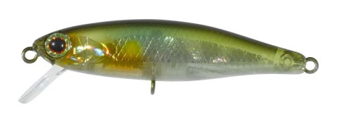 krokodyl2-584153