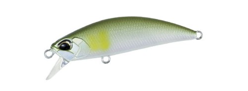krokodyl2-592276