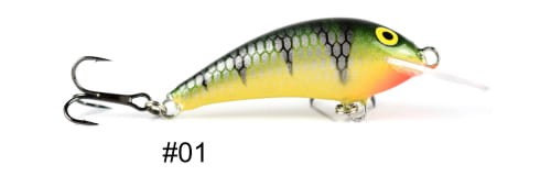 krokodyl2-597280
