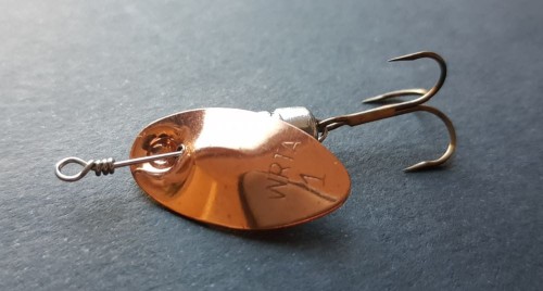 krokodyl2-604118