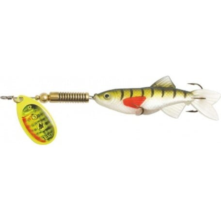 krokodyl2-605965