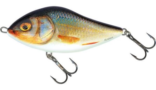 krokodyl2-621754