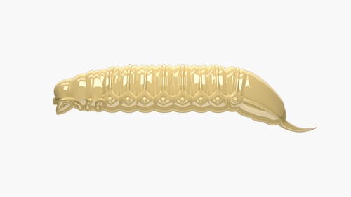 krokodyl3-570037