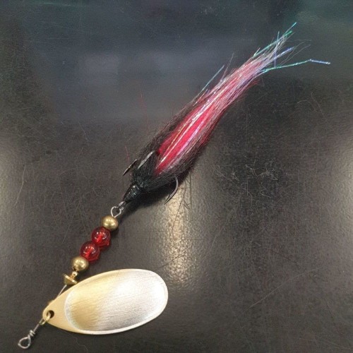 krokodyl3-576082