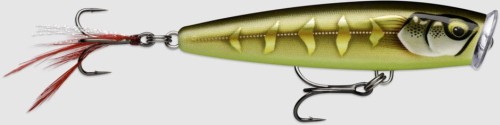 krokodyl3-602890