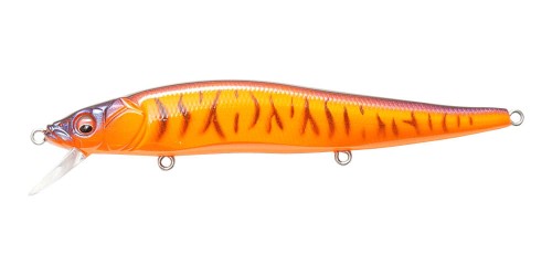 krokodyl3-605505