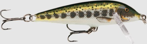 krokodyl3-607675
