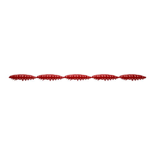 krokodyl3-608456