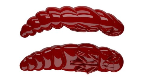 krokodyl3-608504