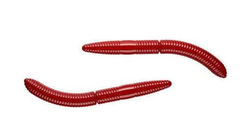 krokodyl3-608579